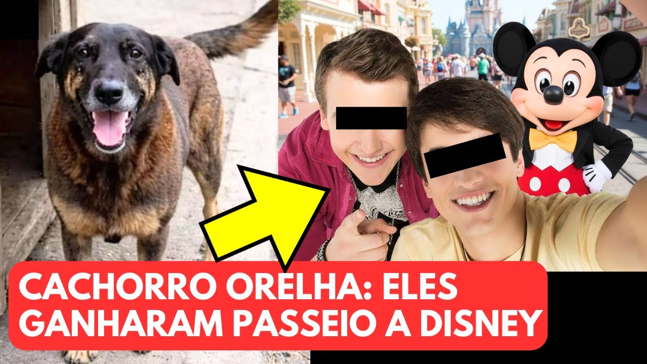Caso do Cachorro Orelha: Adolescentes suspeitos ganharam uma viagem à Disney