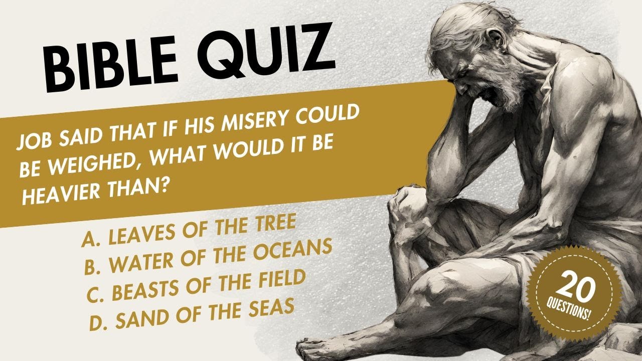 No One Has Gotten 100% | Bible in a Year Quiz | 2 Chronicles – Job #bible #bibleinayear #biblestudy