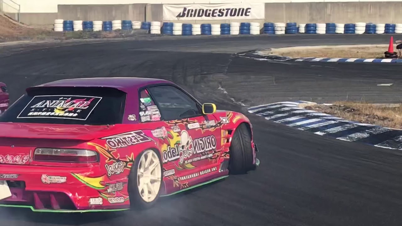 Japan 2017 part 4 - Super D Cup Japan | Hitomi-GO | Animal Style