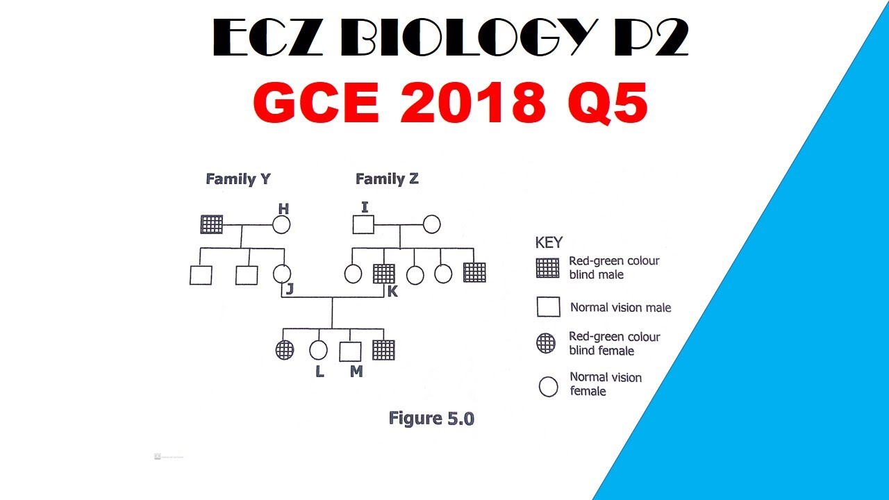Биология, экзаменационная работа 2 || GCE 2018 || Вопрос 5, ответы