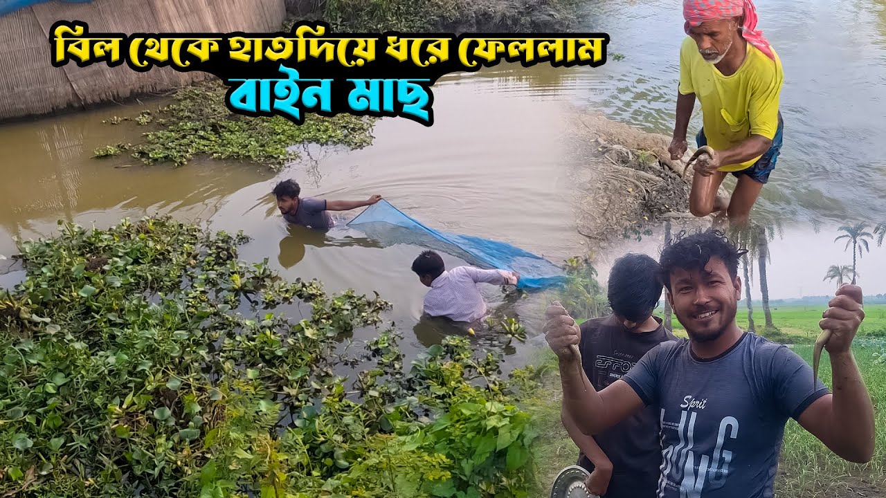 বিল থেকে মাছ ধরলাম || বিলের মাছ ধরার ভিডিও || Fishing vlogs 2025
