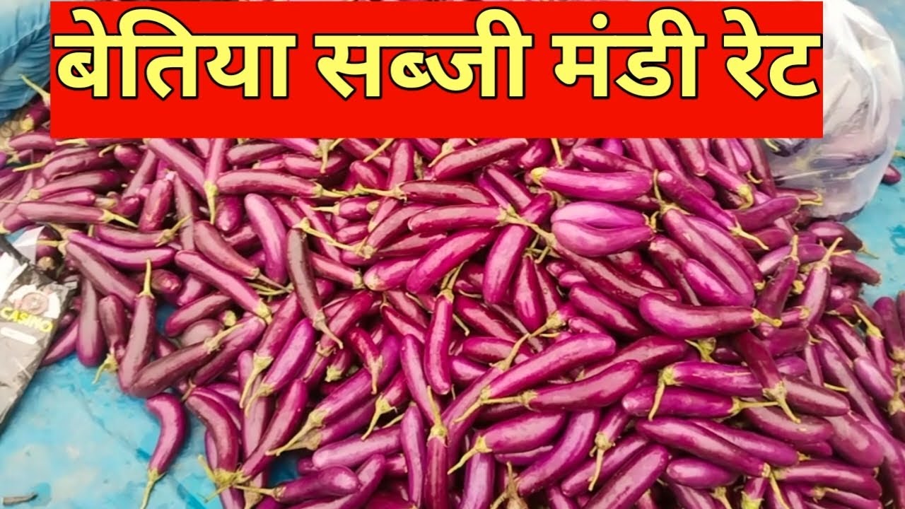 December 25, 2025 बेतिया सब्जी मंडी आज फूलगोभी महंगा बिक रहा है और बंद गोभी भी #sabji_mandi_bhav 