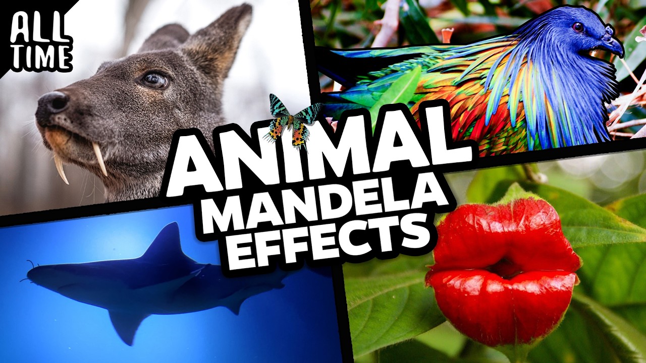 Efekty Mandeli dla zwierząt!