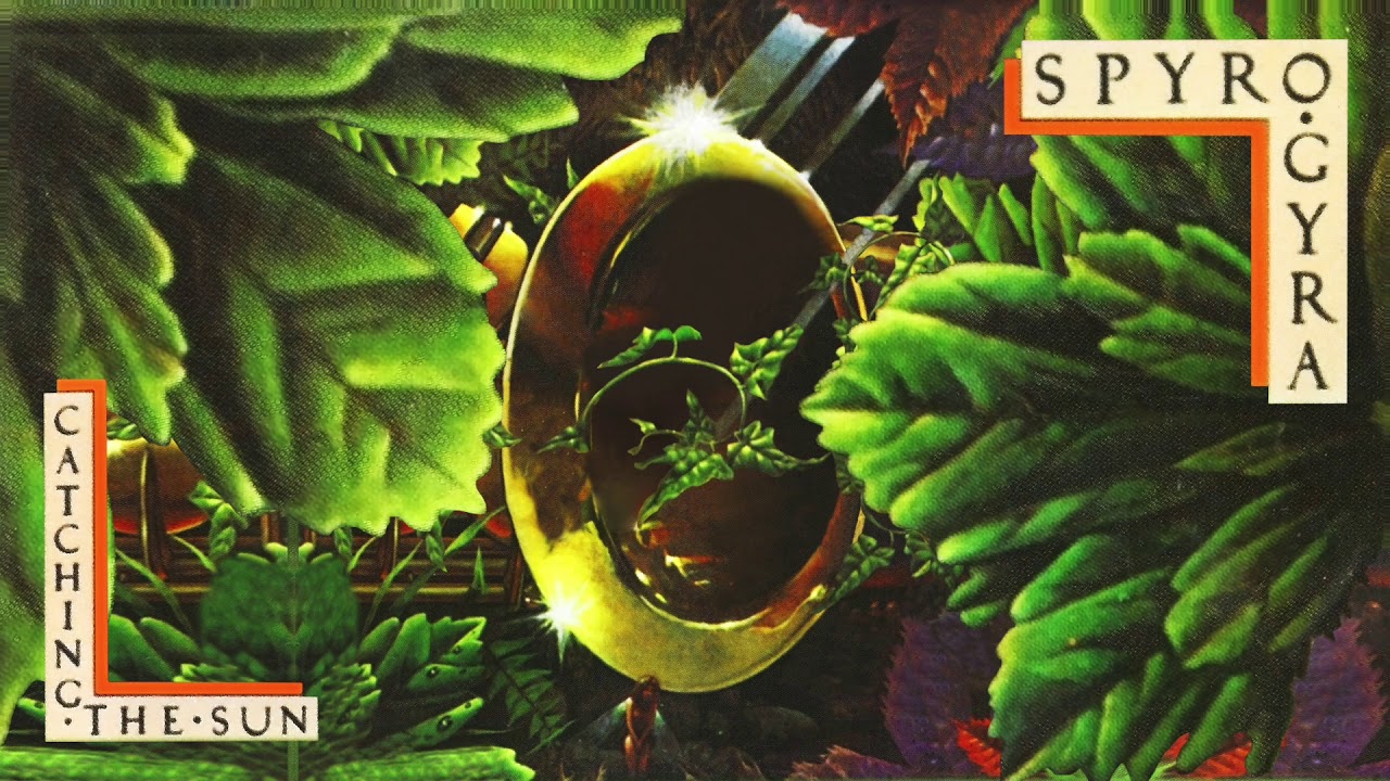 Spyro Gyra - Percolator