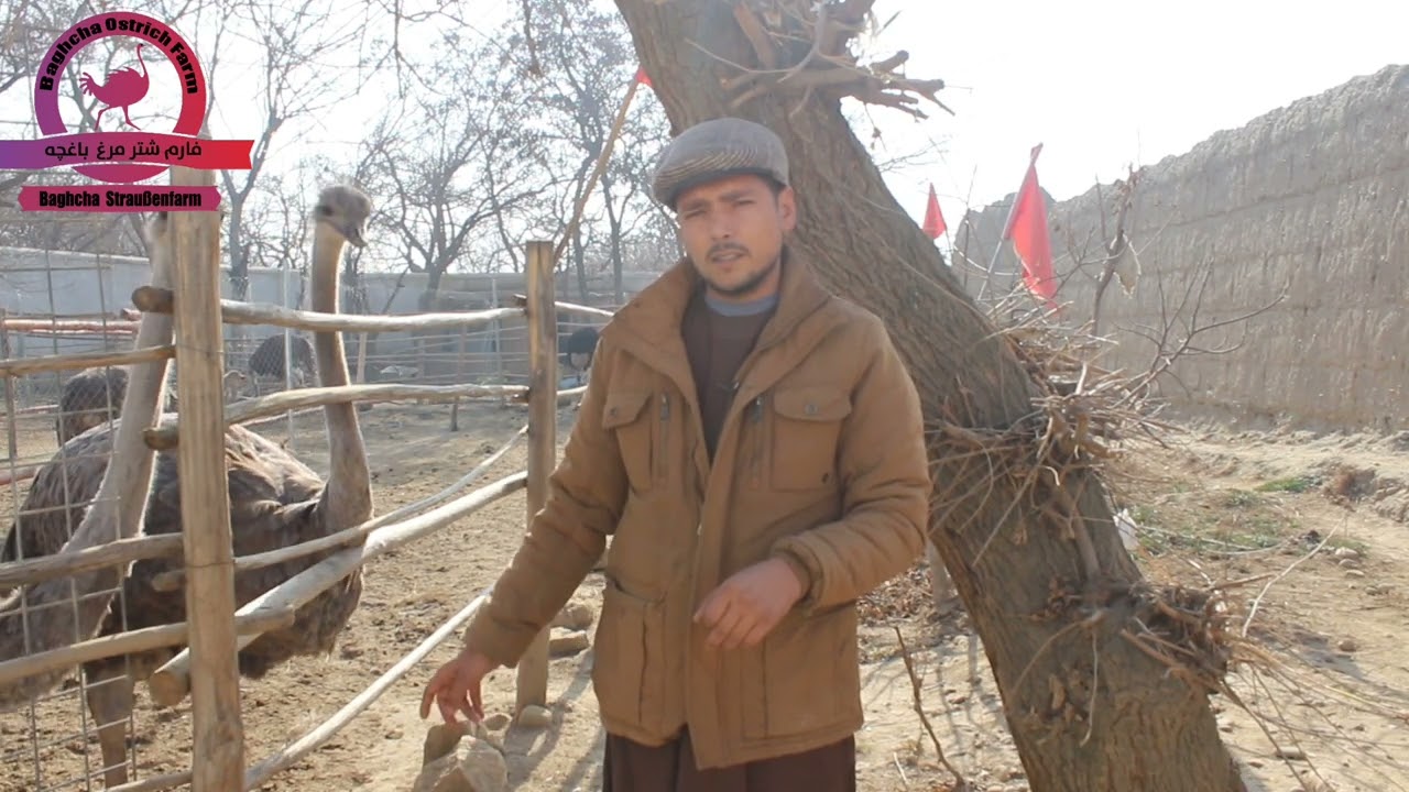 10 قوانین که در یک فارم ضرورت است که باید معراعات شود .