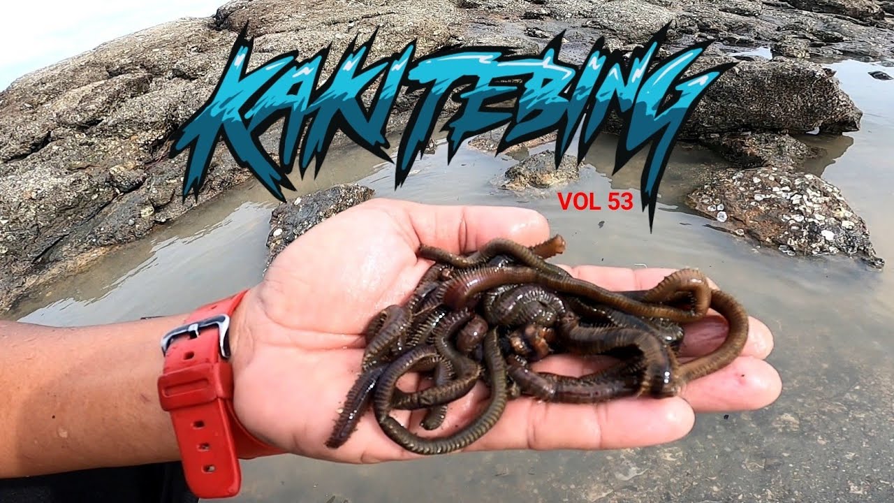 CARA MUDAH MENCARI UMPUN-UMPUN DI PANTAI