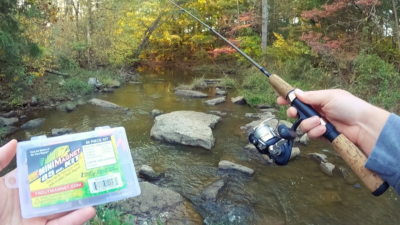 Micro Fishing with Mini Trout Magnet Kit (Multi-Species Challenge)