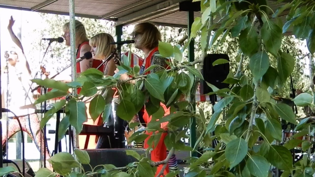 KISSA Live 2021 - Vaarallinen Bändi