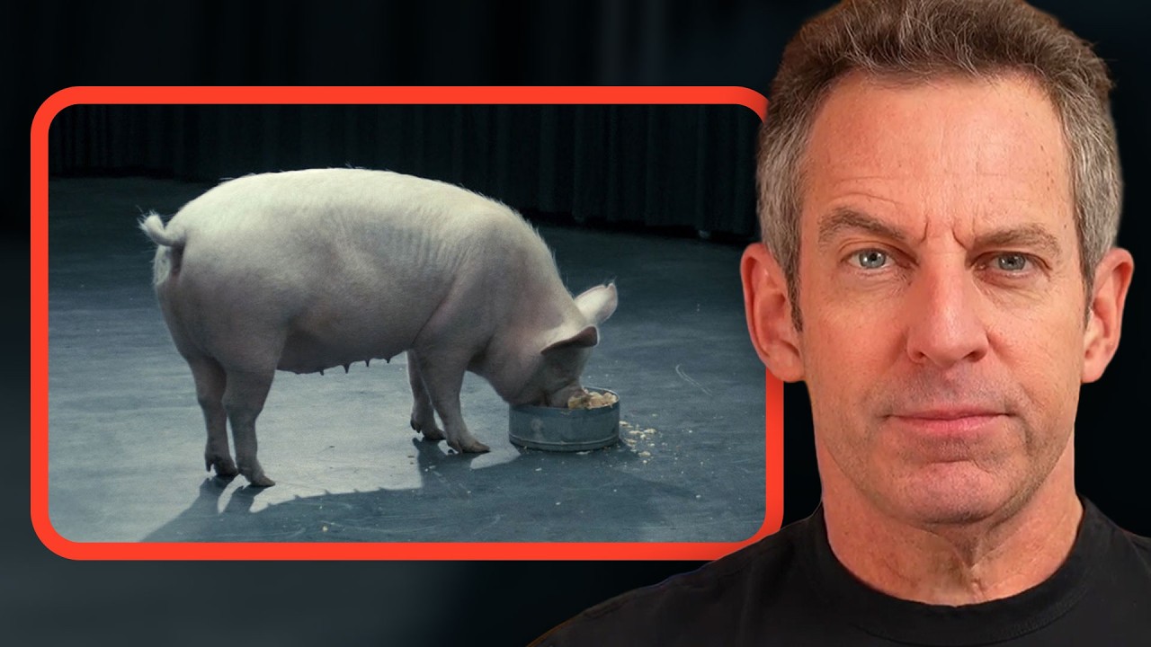 Sam Harris o porozumieniu Trumpa z Iranem: całkowicie upokarzająca kapitulacja