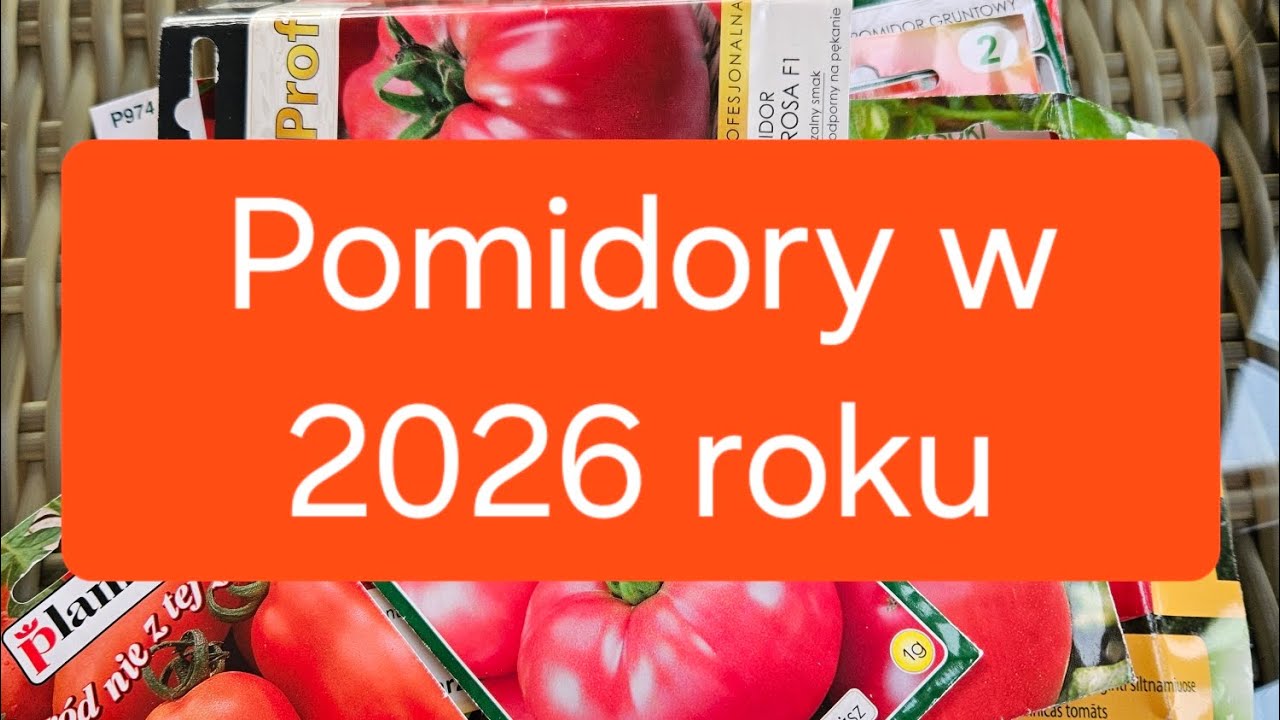 Odmiany Pomidorów jakie wybrałam na 2026 rok