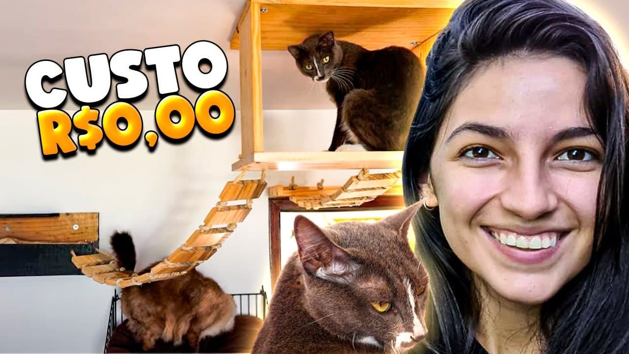 COMO FAZER NICHO COM SUPORTE INVISÍVEL | PLAYGROUND GATOS 3