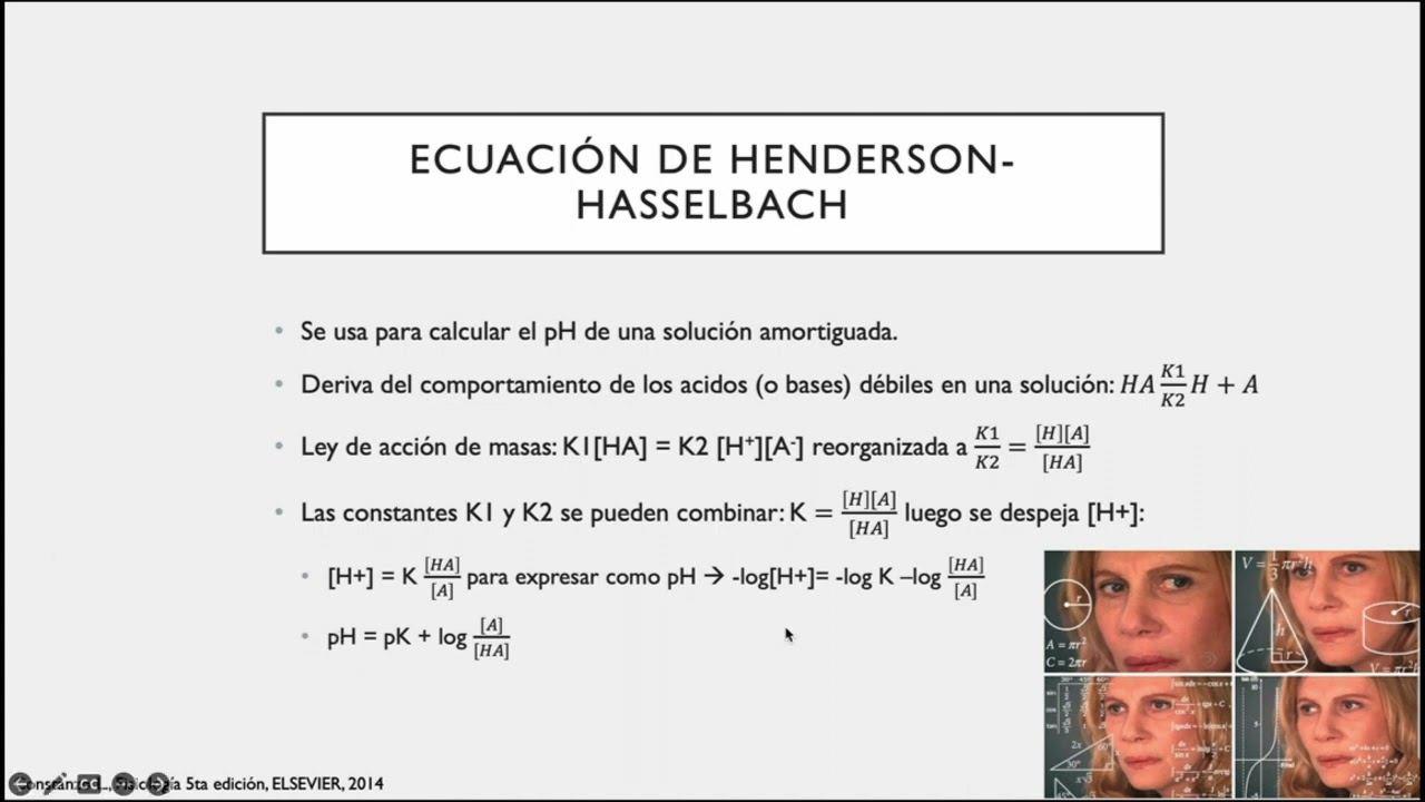 BASE EXCESO E HISTIDINA EN EL EQUILIBRIO ACIDO BASE