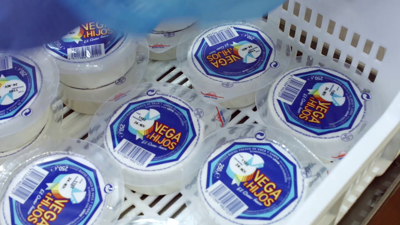 VEGA e HIJOS F&aacute;brica