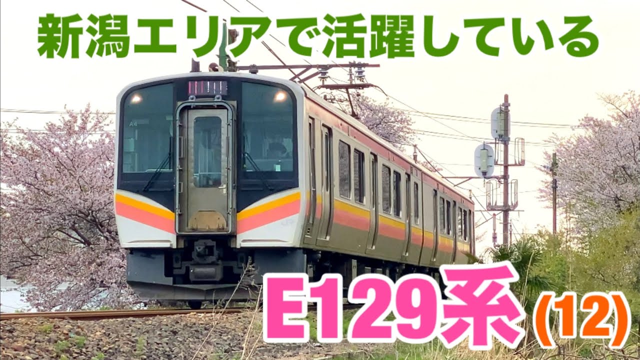 【走行シーン】新潟エリアで活躍しているE129系(12)