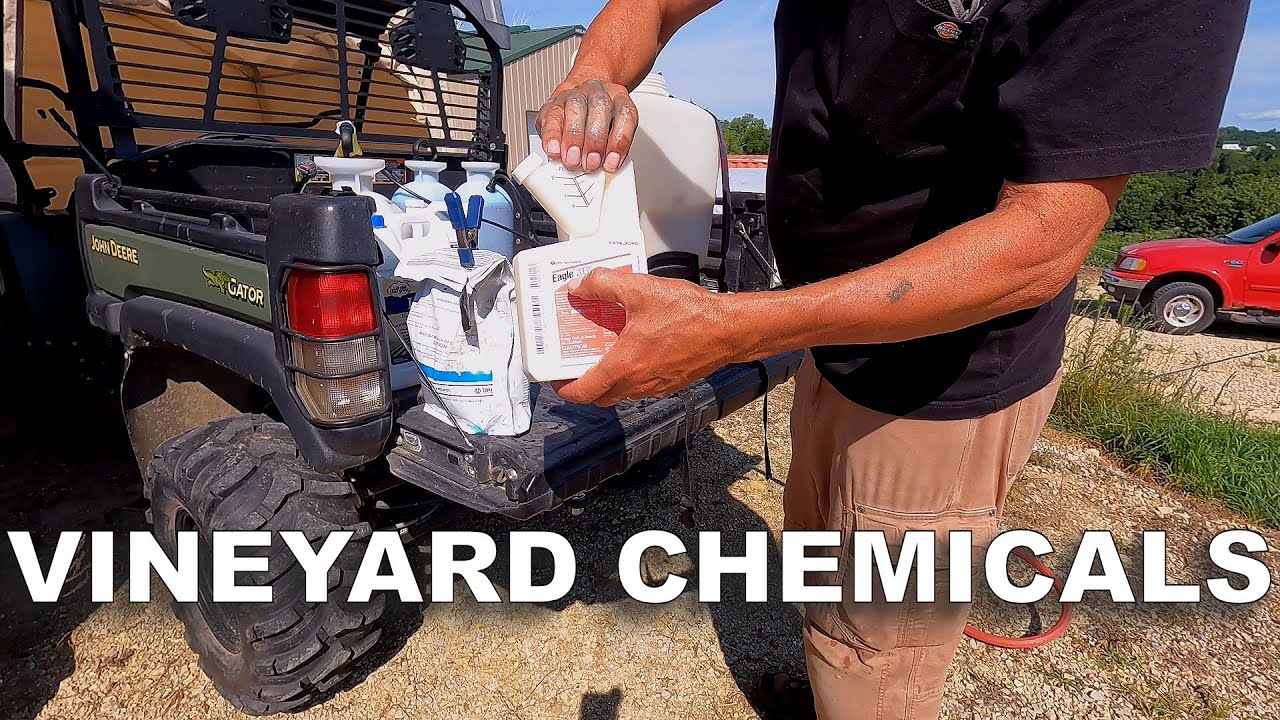 День тройного опрыскивания на винограднике ― Часть первая &ndash; Миксы