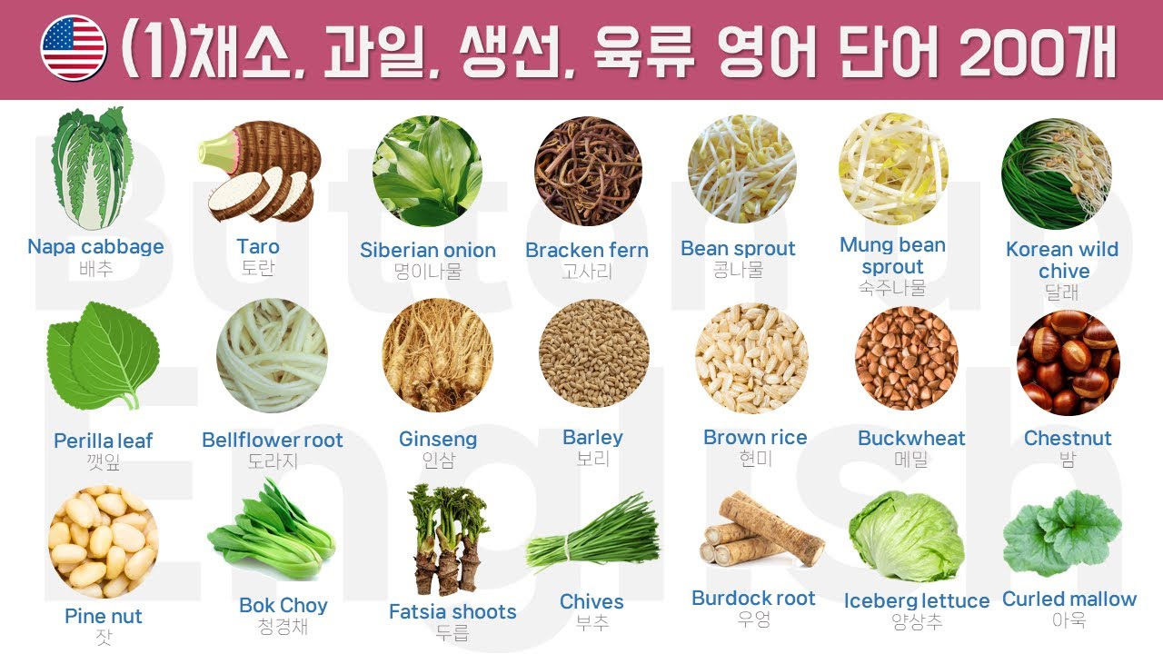 [1]채소, 과일, 허브, 견과류, 생선, 육류 영어 단어  200개 1/2