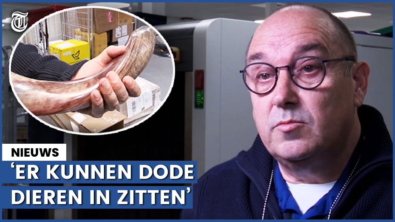 Controle-actie douane: ‘Dit maakt het verdacht’