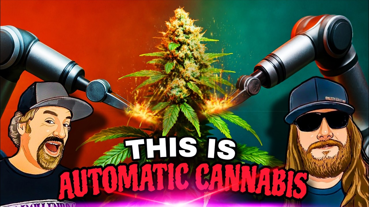 Minimal Effort, Maximum Output: The Science Behind an Efficient Grow