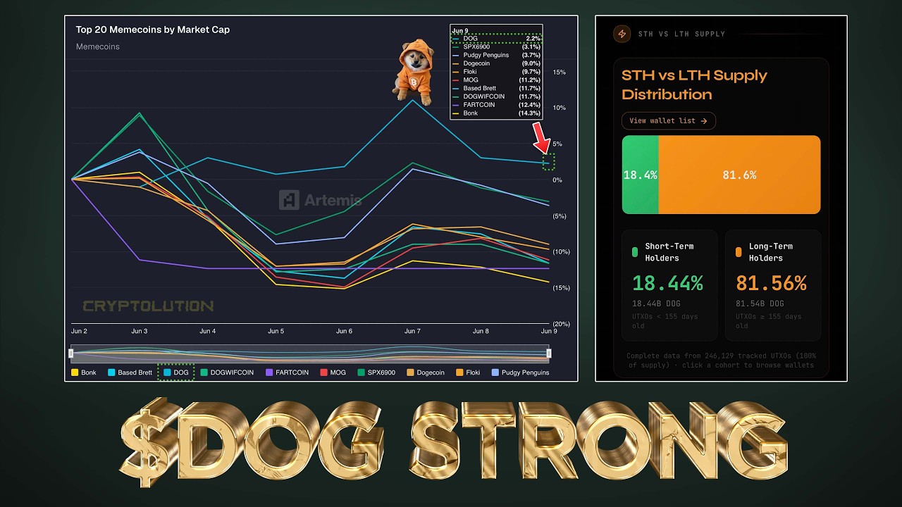 $DOG (Bitcoin) Top Performing Memecoin Past 7 days 💪🐕🏆