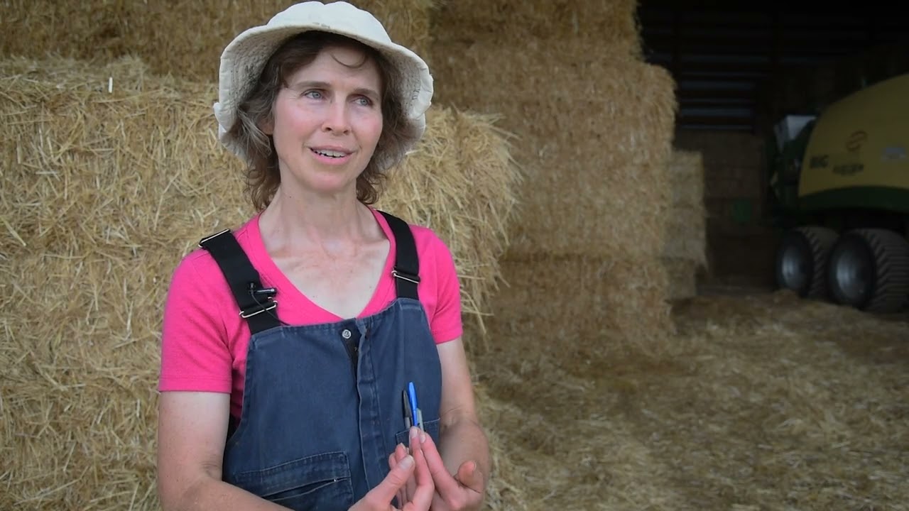 On-farm research: Returning results to NY farmers