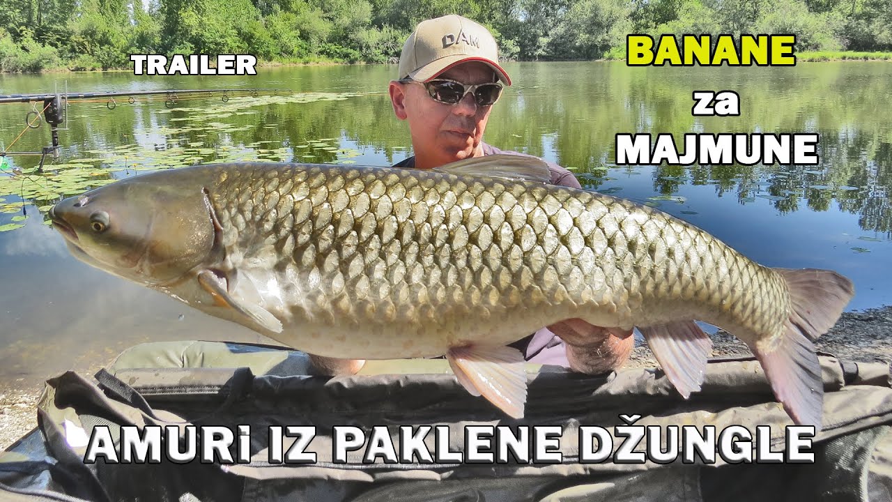 AMURi iz paklene džungle - Banane za Majmune, trailer / VSP Igor Pavičić