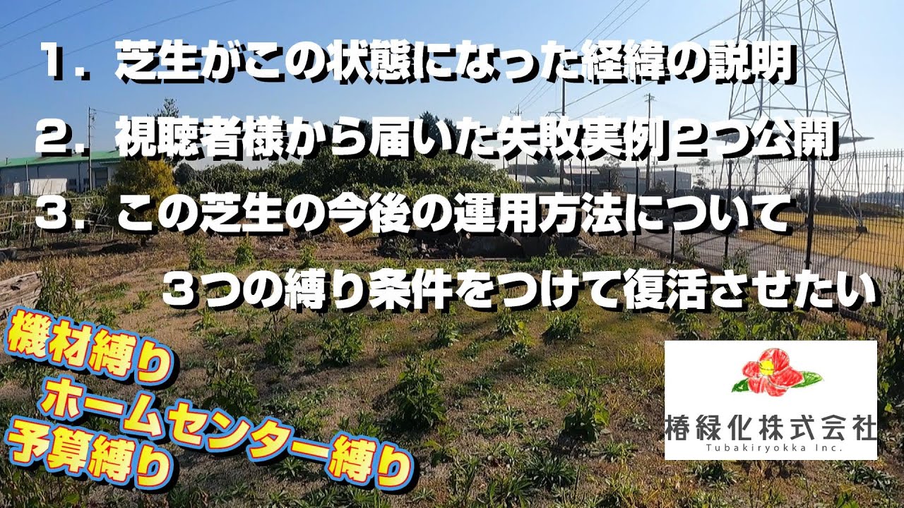【枯れた芝生】の今後の運用方法、視聴者様から届いた失敗実例2選、注意喚起、今後について等。