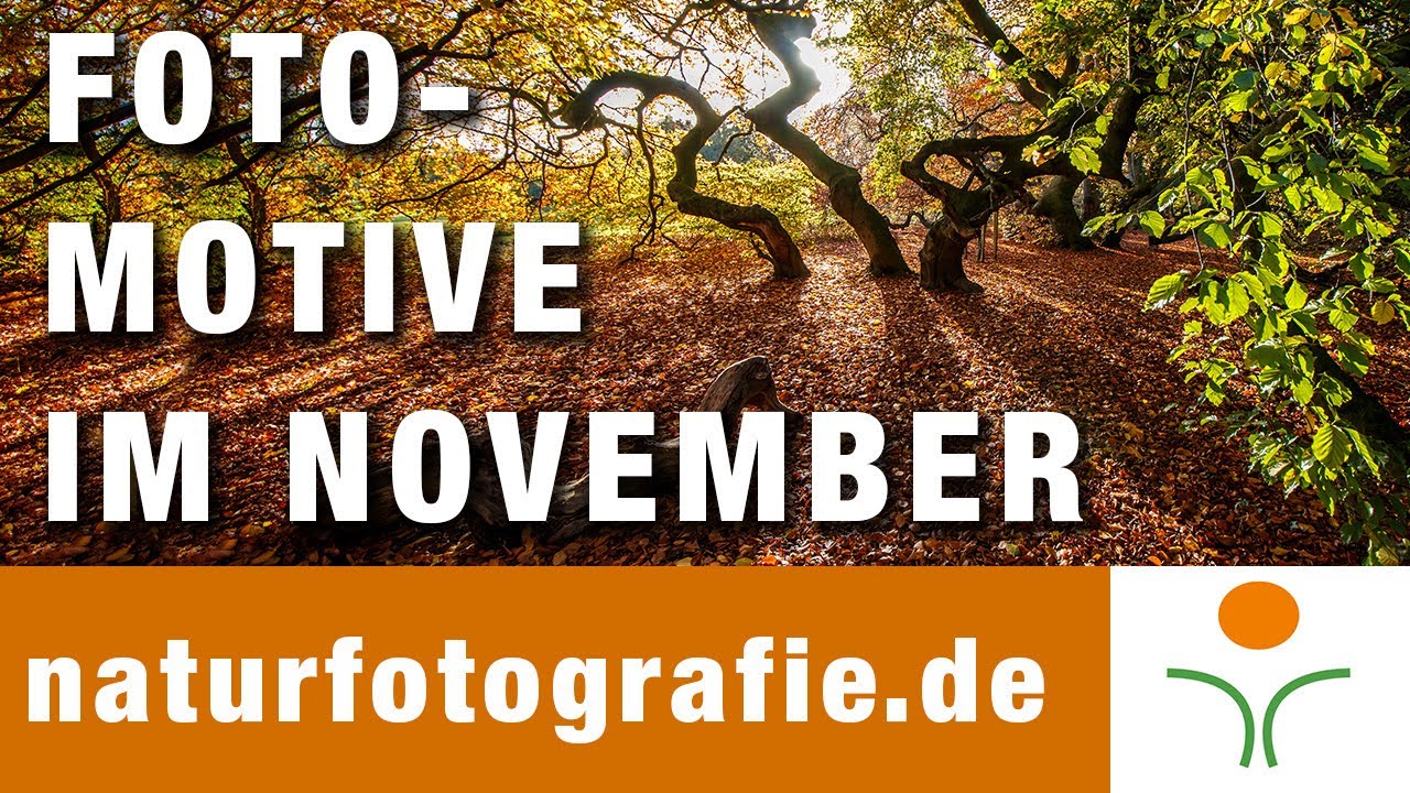 Fotomotive in der Natur finden im November