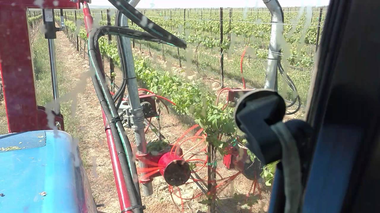 Vine Tech Sucker and Shoot remover