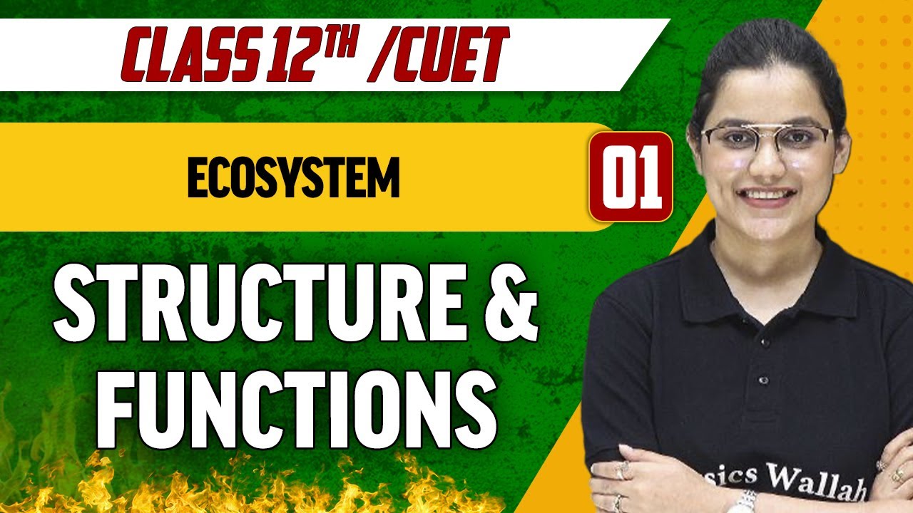 Ecosystem 01|Structure & Functions| Class 12th/CUET
