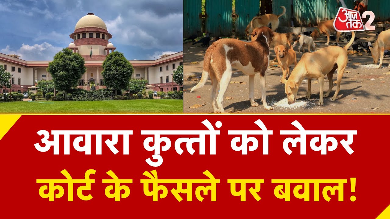 AAJTAK 2 LIVE | Stray Dogs पर Supreme Court के फैसले का क्यों हो रहा है विरोध? |  AT2 LIVE