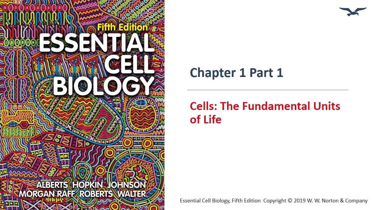 (BC PCB 3023) Chapter 1 Cells The Fundamental Units of Life Part 1