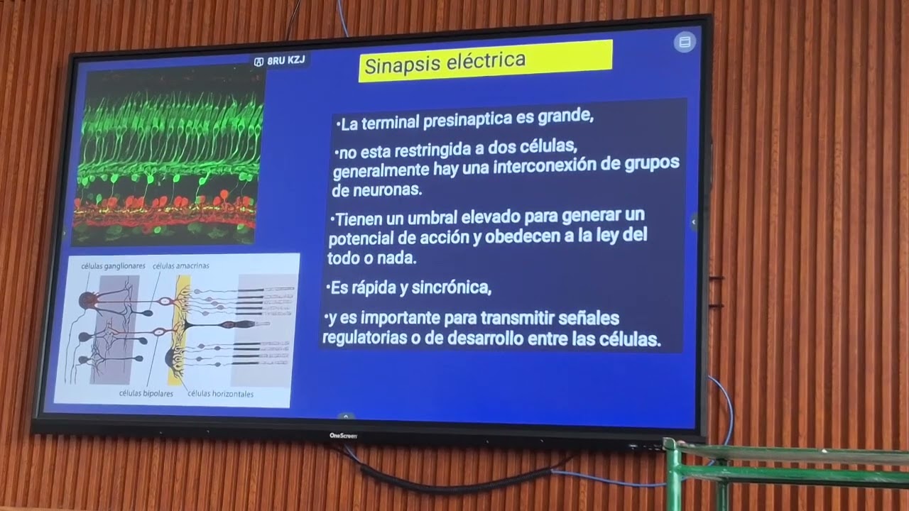 19 de febrero de 2026