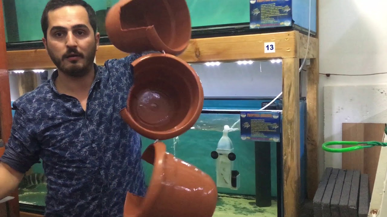DEV FRONTOZA KOLONİSİNE VEDA ETTİK!!!