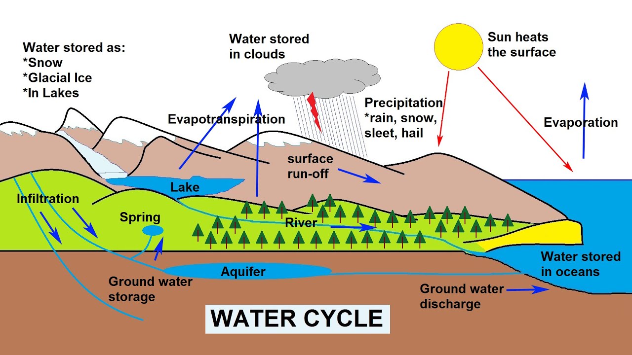 The Water Cycle Explained