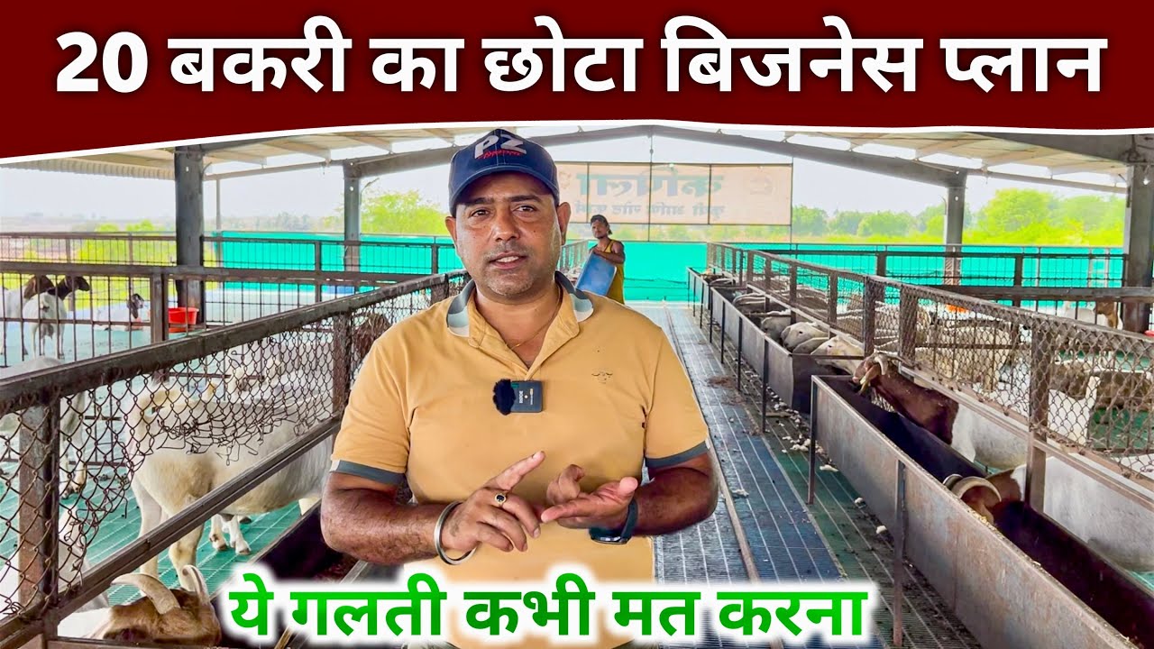 20 बकरी का छोटा बिज़नेस कैसे शुरू करें || Goat farming business plan