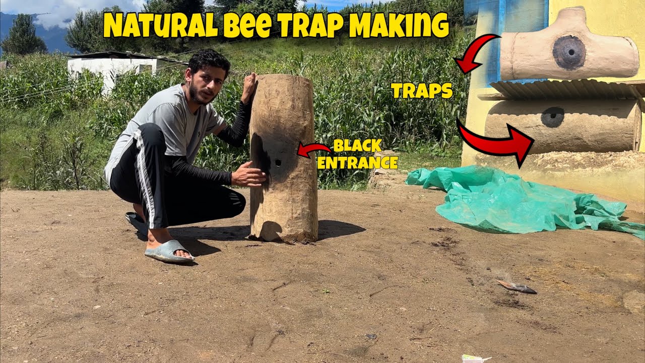 Traditional Bee Trap Making | Black Entrance Beekeeping Method | Natural Hive Trap