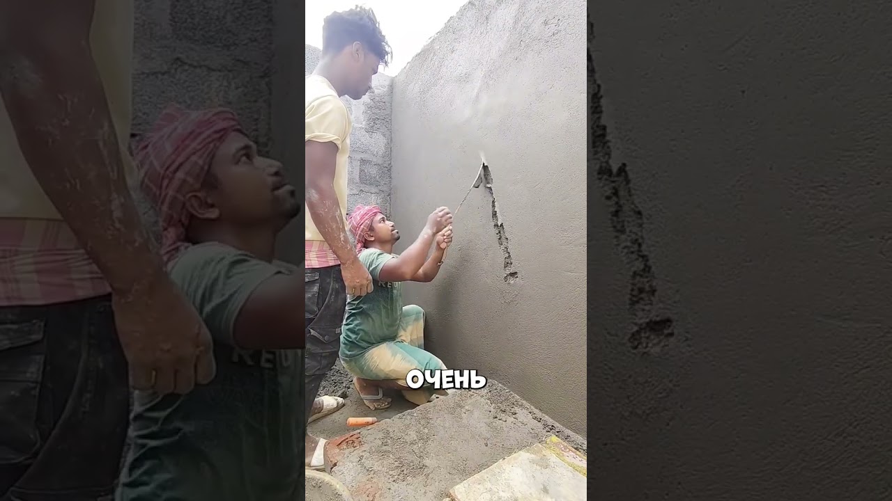 Он не поверил хозяину пока не увидел это #shorts