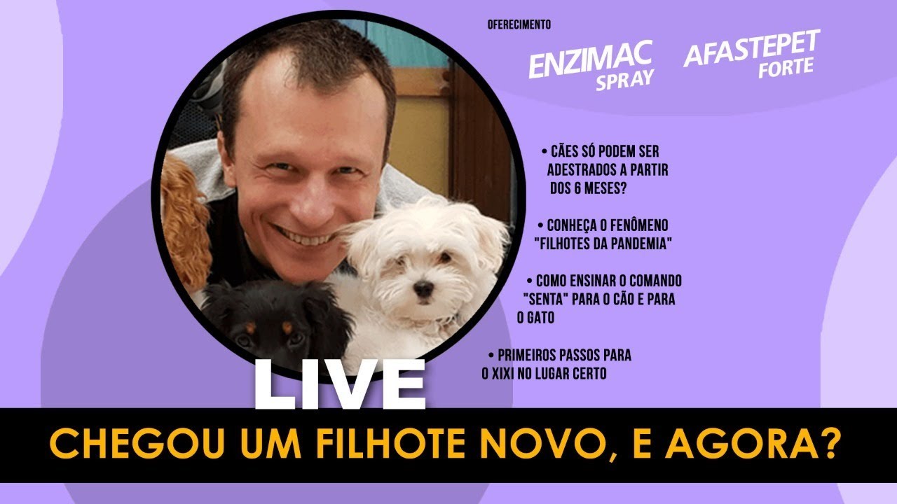 CHEGOU UM FILHOTE NOVO, E AGORA?