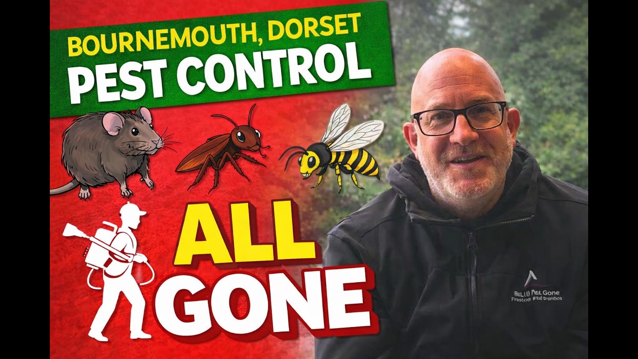 All Gone Pest Control - Bournemouth Dorset