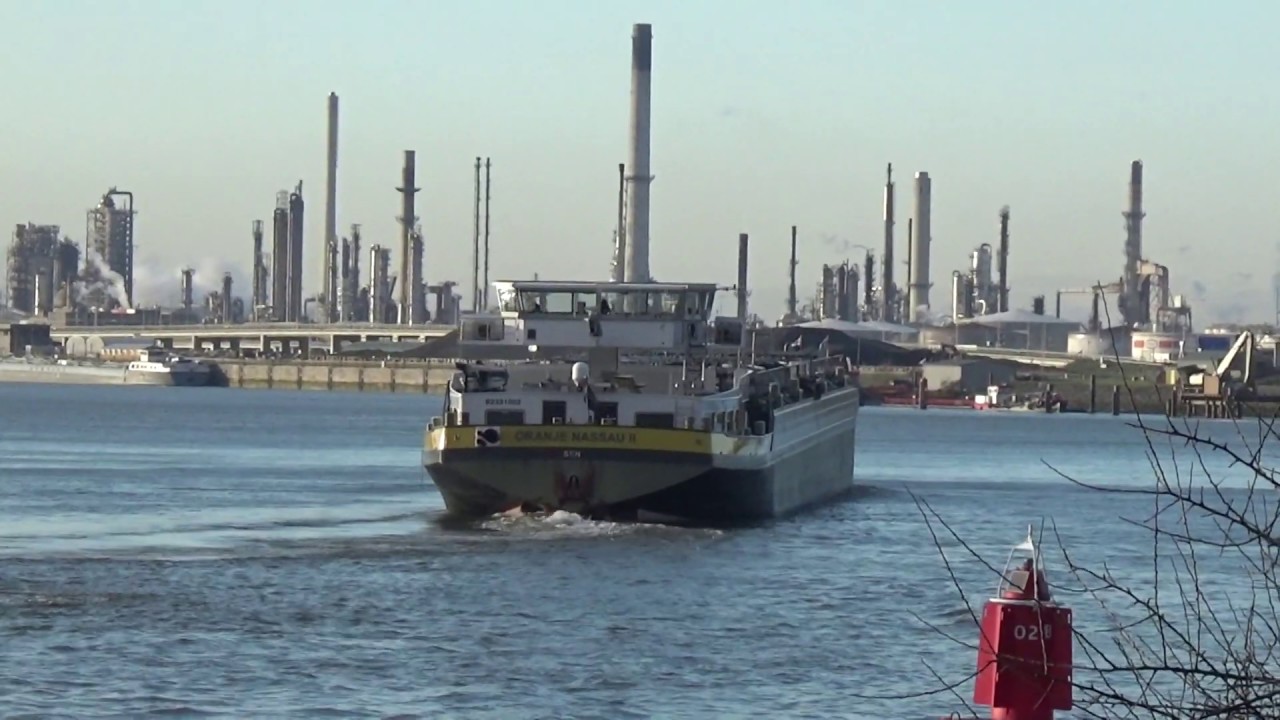 MVS VAGEBOND