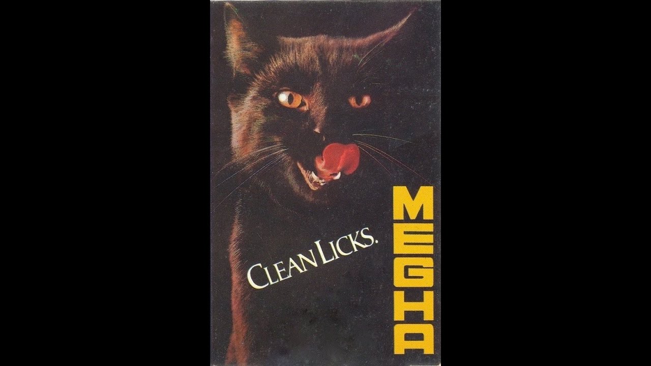 Dr Suma Sudhindra - Gerard Machado - Megha-Clean Licks