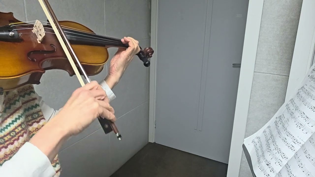In a Sonata W.A.Mozart