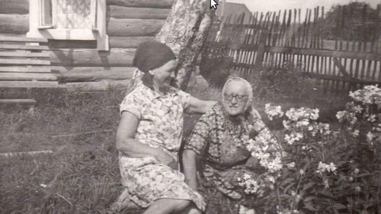 Hirsitalo ja Väärä koivu | Viola Heistonen | Elämäni Koulut