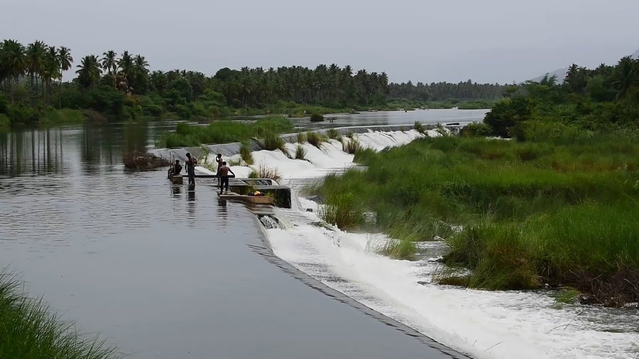 சிற்றனை | வைகை அணைக்கட்டு குருவித்துறை  |  Sitranai in Kuruvithurai | Vaigai River | Anaipatti