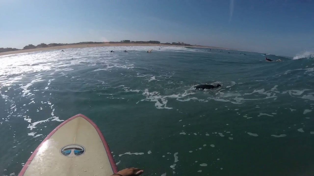 Session surf - La Sud Hossegor - Septembre 2016