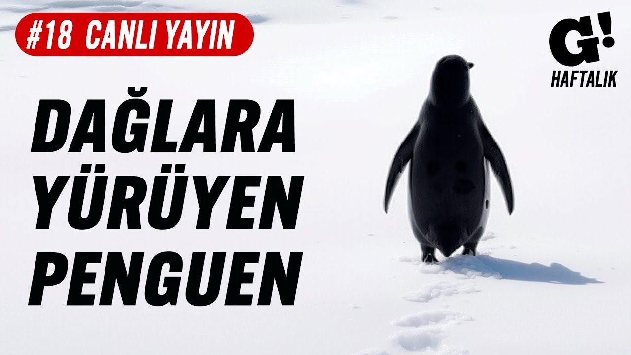 SER ARLAN PENNYTREE'NİN MAL VARLIĞI | HAFTALIK CANLI YAYIN #18