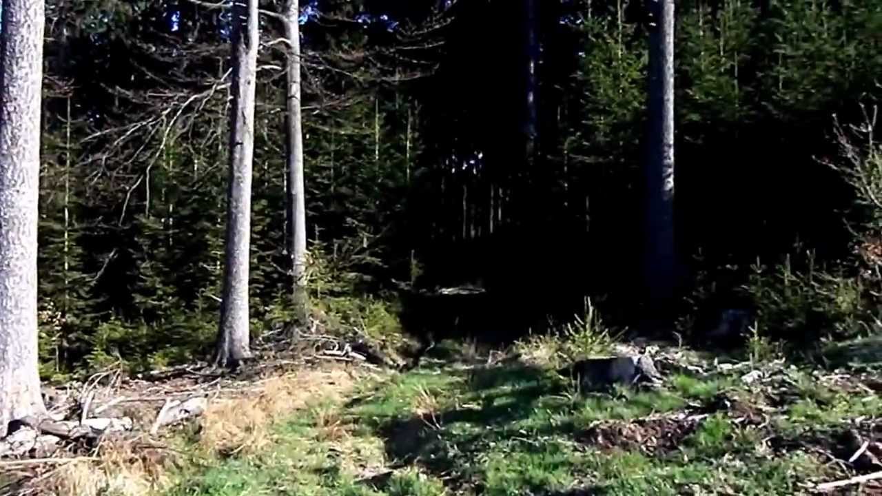 Český les - pramen řeky Radbuzy