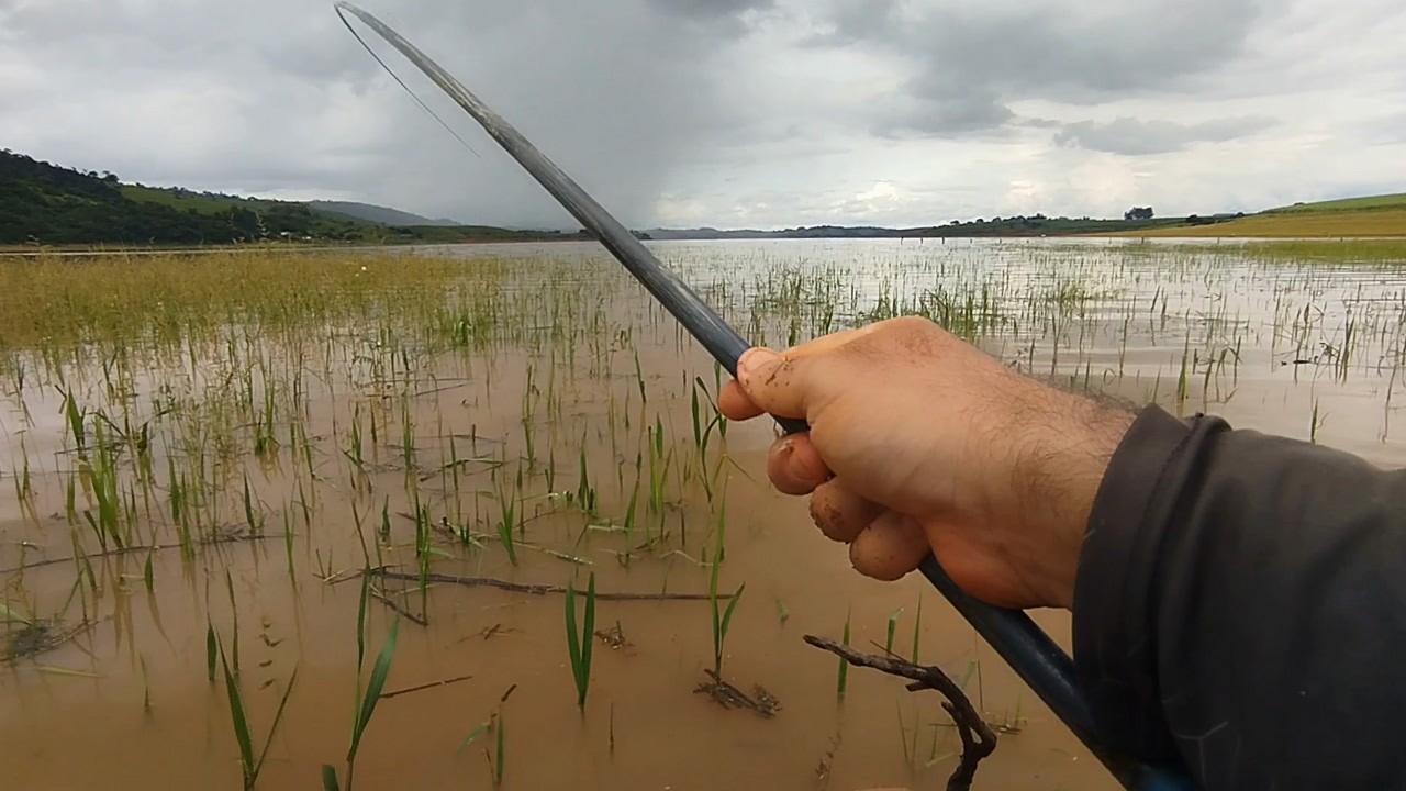 É SÓ ALEGRIA! PESCARIA BOA NO LAGO DE FURNAS