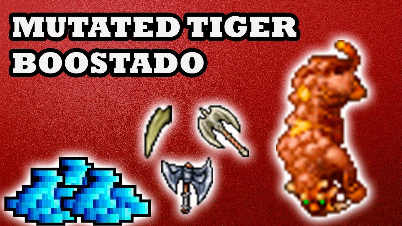 Tibia - Mutated Tiger Boostado! Bom Profit, 3 respawns para lucrar fácil.