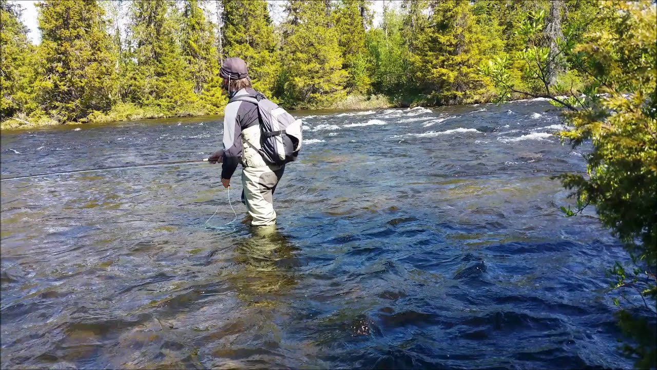 Pesca Mosca en Suecia. Laponia. Saxnäs. Fly fishing in Sweden. South Lapland.